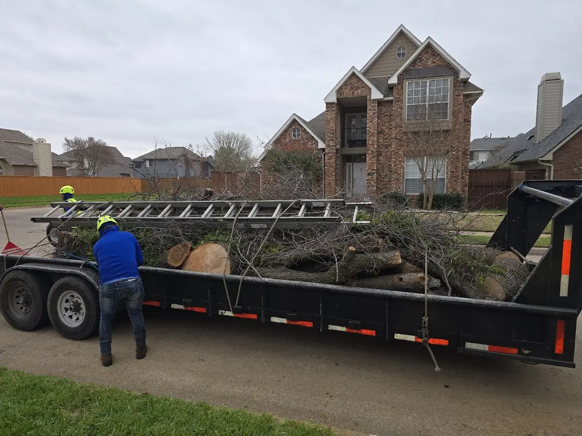 Expert Tree Fertilization with proper safety equipment in Drexel